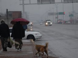 El viento superará los 60 kilómetros por hora en regiones de Durango, Colima, Nayarit, Jalisco, Querétaro y Guanajuato. NTX / ARCHIVO