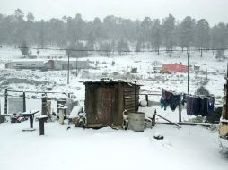Se monitorean los 39 municipios por las condiciones climatológicas derivadas del frente frío número 27 y la quinta tormenta invernal. TWITTER / @CEPCDurango