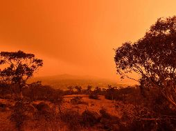 El primer ministro Scott Morrison, alertó que el país se enfrenta a 24 horas ''extremadamente difíciles'' con temperaturas por encima de los 40 grados y con fuertes vientos en el sur y sureste del país. AFP / S. Khan