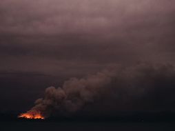 Según la OMM, los fuegos ''están causando una enorme destrucción de vida salvaje, ecosistemas y medio ambiente''. AFP