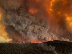 El fuego ha provocando la muerte de 23 personas, así como la de 500 millones de animales sólo en Nueva Gales del Sur, una de las regiones más afectadas. AP / G. Morey