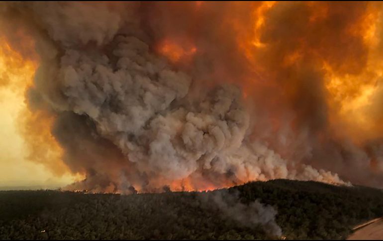 El fuego ha provocando la muerte de 23 personas, así como la de 500 millones de animales sólo en Nueva Gales del Sur, una de las regiones más afectadas. AP / G. Morey