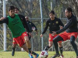 No paran. El conjunto de la UdeG sigue entrenando en sus instalaciones de La Primavera bajo las órdenes del técnico Jorge Dávalos. TWITTER/@leonesnegros