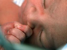 Independientemente de la forma en que haya nacido un humano, una dieta rica en ciertos alimentos puede mantener un microbiota saludable y aumentar las bacterias buenas del cuerpo. EL INFORMADOR / ARCHIVO