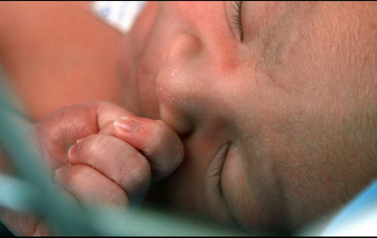 Independientemente de la forma en que haya nacido un humano, una dieta rica en ciertos alimentos puede mantener un microbiota saludable y aumentar las bacterias buenas del cuerpo. EL INFORMADOR / ARCHIVO