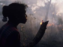 Los pueblos aborígenes australianos han utilizado las 