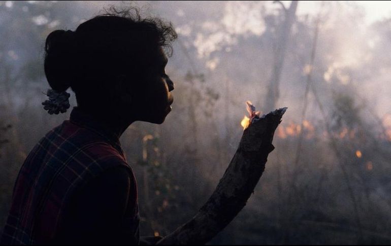 Los pueblos aborígenes australianos han utilizado las 