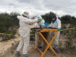 La Fiscalía, a través de su Distrito III con sede en Lagos de Moreno, inició la correspondiente carpeta e informaron que el día de hoy continúan las labores de búsqueda en la zona. EFE/ ARCHIVO