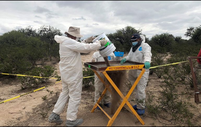 La Fiscalía, a través de su Distrito III con sede en Lagos de Moreno, inició la correspondiente carpeta e informaron que el día de hoy continúan las labores de búsqueda en la zona. EFE/ ARCHIVO
