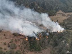 Las labores de extinción comenzaron a las 18:45 horas, informaron autoridades. ESPECIAL/Bomberos de Zapopan