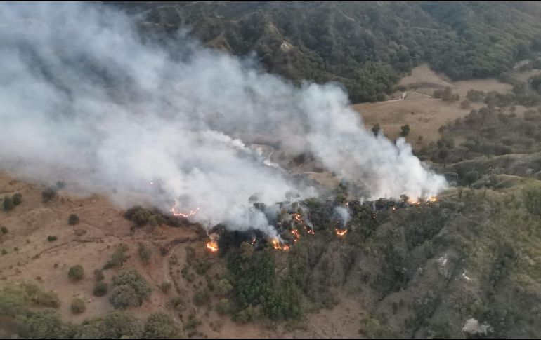 Las labores de extinción comenzaron a las 18:45 horas, informaron autoridades. ESPECIAL/Bomberos de Zapopan