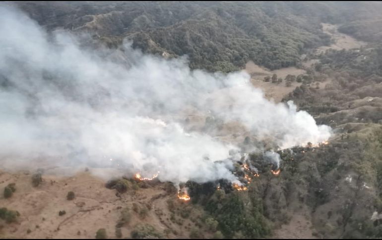 Las labores de extinción comenzaron a las 18:45 horas, informaron autoridades. ESPECIAL/Bomberos de Zapopan