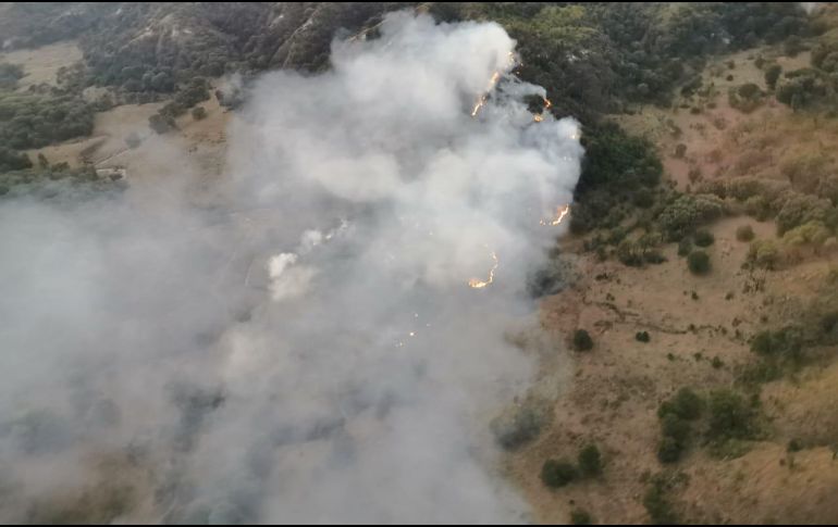 Las labores de extinción comenzaron a las 18:45 horas, informaron autoridades. ESPECIAL/Bomberos de Zapopan