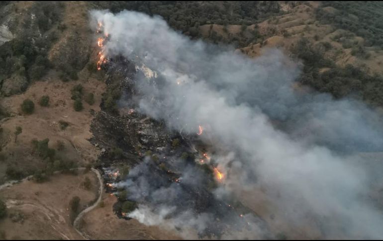 Las labores de extinción comenzaron a las 18:45 horas, informaron autoridades. ESPECIAL/Bomberos de Zapopan