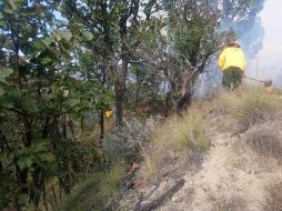 Brigadistas realizan acciones para extinguir la conflagración. TWITTER / @SemadetJal