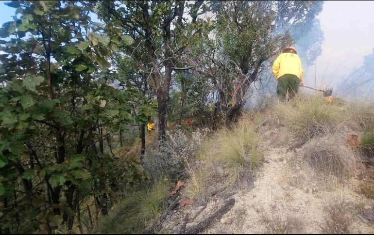 Brigadistas realizan acciones para extinguir la conflagración. TWITTER / @SemadetJal