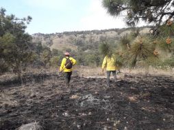 El incendio se registró en un punto cercano a donde ayer se presentó el primer incendio de la actual temporada de estiaje. ESPECIAL / Semadet