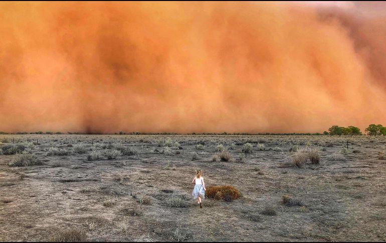Los incendios han consumido más de 80 mil kilómetros cuadrados  en Australia. AFP/M. Macmillan