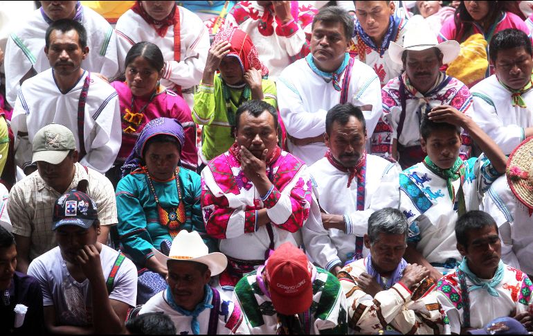 Los programas podrán ser compartidos por las difusoras. EL INFORMADOR / ARCHIVO