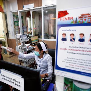 Mercado de animales y mariscos, posible origen del coronavirus