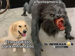 Las redes se contagian del Coronavirus y aparecen divertidos memes