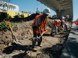 Denuncian que autoridades no han dado a conocer el número real de fincas afectadas, pues manejan con mucho sigilo el tema. EL INFORMADOR/ARCHIVO