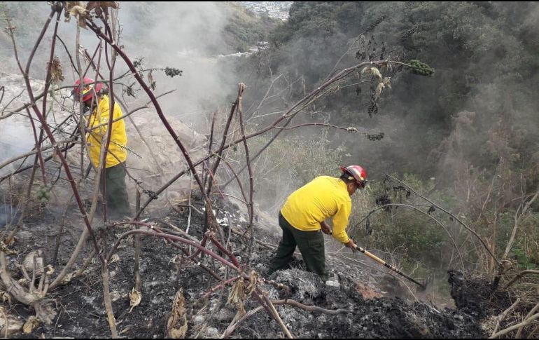 Luego de aproximadamente 20 minutos, las llamas fueron liquidadas por los bomberos. TWITTER/@SemadetJal