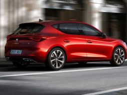 El nuevo León español ruge con nueva imagen y mayor tecnología