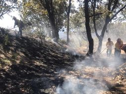 La dependencia informó del incendio mediante sus redes sociales cerca de la 01:40 de la tarde.   TWITTER / @SemadetJal