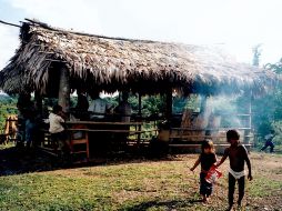 Un grupo armado de aproximadamente 80 personas intentó desalojar a los indígenas de sus tierras e incendió varias viviendas. TWITTER/@CIDH