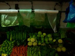 El reglamento que fue aprobado en Zapopan establece sanciones más severas que la regulación estatal. EL INFORMADOR / ARCHIVO