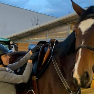 Mariana Arceo disputa final del Abierto de Hungría