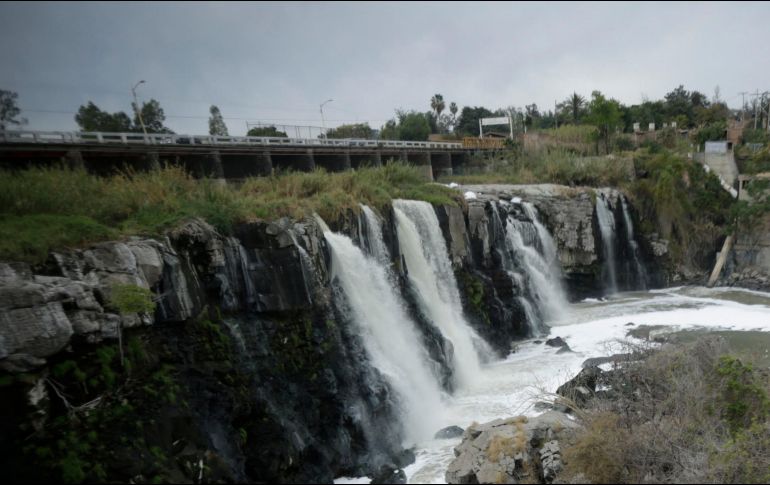La Recomendación 1/2009 se emitió hace 11 años. EL INFORMADOR / ARCHIVO