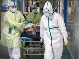 El organismo establece una red llamada 