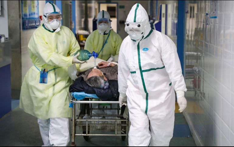 El organismo establece una red llamada 