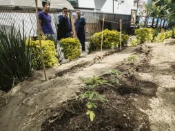 Retoños.- Un grupo de activistas a favor de la legislación sobre una Ley General de Cannabis, en un campamento frente al Senado. SUN