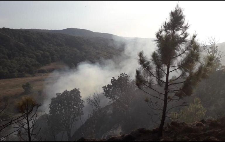 La Fiscalía del Estado reitera como prioridad la investigación de los delitos contra el medio ambiente, ya que es un patrimonio de la humanidad. EL INFORMADOR / ARCHIVO