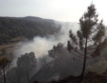 La Fiscalía del Estado reitera como prioridad la investigación de los delitos contra el medio ambiente, ya que es un patrimonio de la humanidad. EL INFORMADOR / ARCHIVO