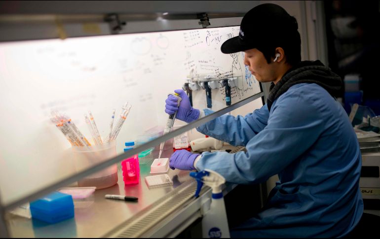 Será hasta mañana miércoles cuando la OMS ofrezca una rueda de prensa para informar sobre los resultados de estos dos días de reuniones. AFP / T. Akmen