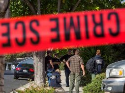 El informe policial indica que el niño dijo que la idea de matar a su hermana 