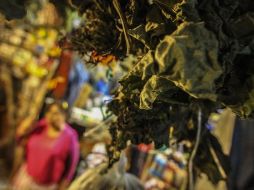 Las consecuencias de no usarse adecuadamente podrían ser fatales. Los mercados son sitios donde el toloache concentrado puede conseguirse con mayor facilidad. EL INFORMADOR / ARCHIVO