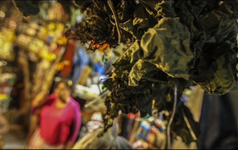 Las consecuencias de no usarse adecuadamente podrían ser fatales. Los mercados son sitios donde el toloache concentrado puede conseguirse con mayor facilidad. EL INFORMADOR / ARCHIVO