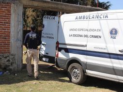 Miembros de la Fiscalía estatal resguardan la zona donde fue hallada una fosa clandestina, en el municipio de Coeneo. EFE/I. Villanueva