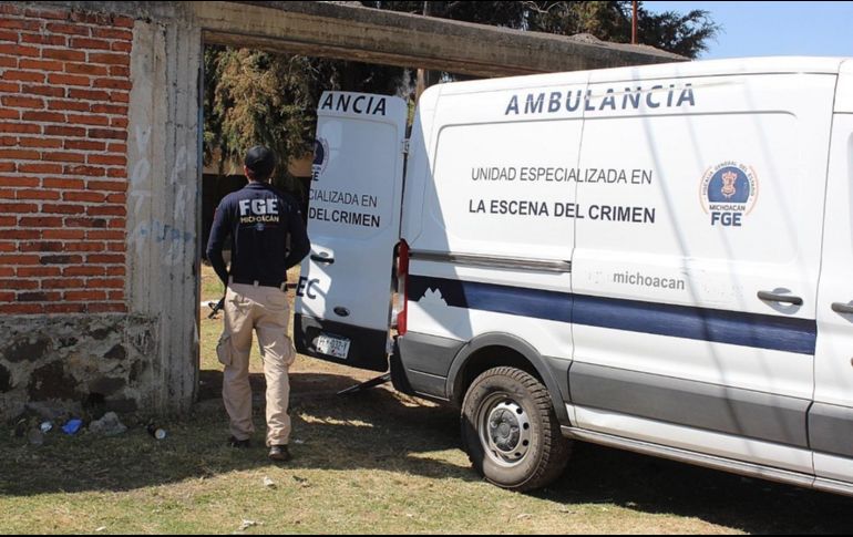 Miembros de la Fiscalía estatal resguardan la zona donde fue hallada una fosa clandestina, en el municipio de Coeneo. EFE/I. Villanueva