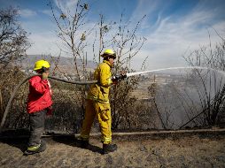 El fuego fue sofocado por nueve elementos del Organismo Público Descentralizado del Bosque. EL INFORMADOR / ARCHIVO