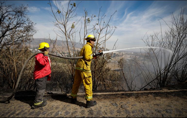 El fuego fue sofocado por nueve elementos del Organismo Público Descentralizado del Bosque. EL INFORMADOR / ARCHIVO