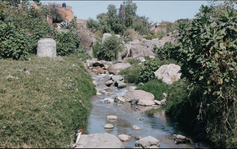 El cauce contaminado desemboca en el río Santiago. EL INFORMADOR/G. Gallo