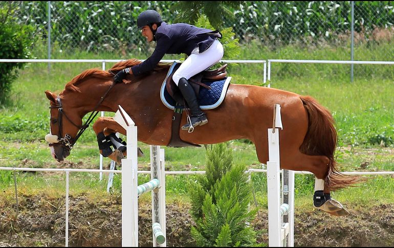 Arranca el Circuito Jalisco con promesas de emocionantes eventos para los amantes de la equitación. EL INFORMADOR/ARCHIVO