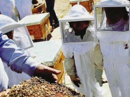 APRENDIZAJE. Los grupos de los talleres reciben un mínimo de 10 personas.  EL INFORMADOR • R. Rivas