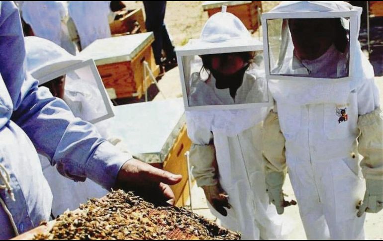 APRENDIZAJE. Los grupos de los talleres reciben un mínimo de 10 personas.  EL INFORMADOR • R. Rivas